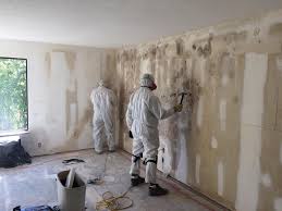 Best Mold Documentation for Insurance Claims  in Huntley, IL